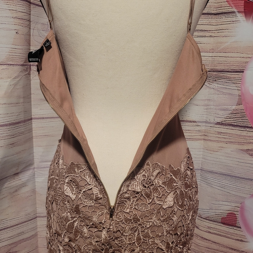 Elegant Lace Overlay Dress - Picture 8 of 11